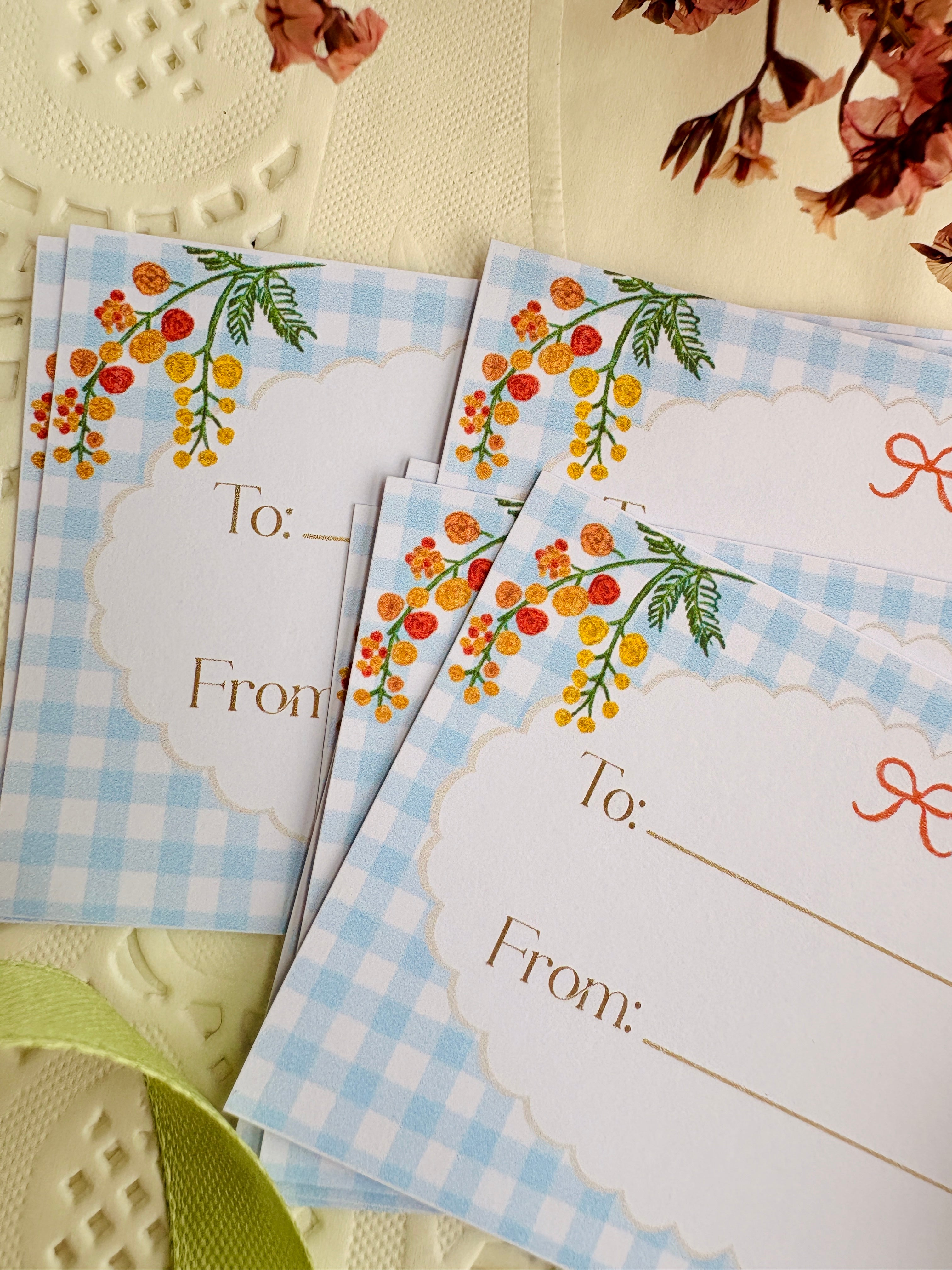 Sky Gingham Gift Card Set